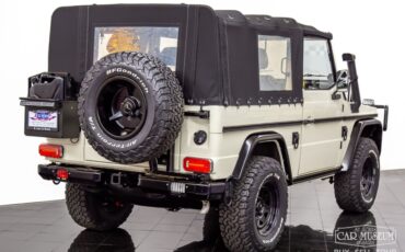 goodtimers-Mercedes-Benz-250GD-Wolf-1991-1