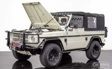 goodtimers-Mercedes-Benz-250GD-Wolf-1991-12