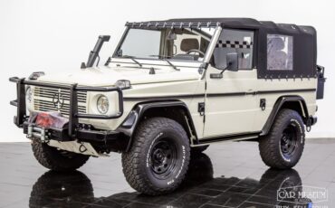 Mercedes Benz 250GD Wolf 1991