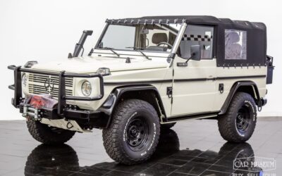Mercedes Benz 250GD Wolf 1991