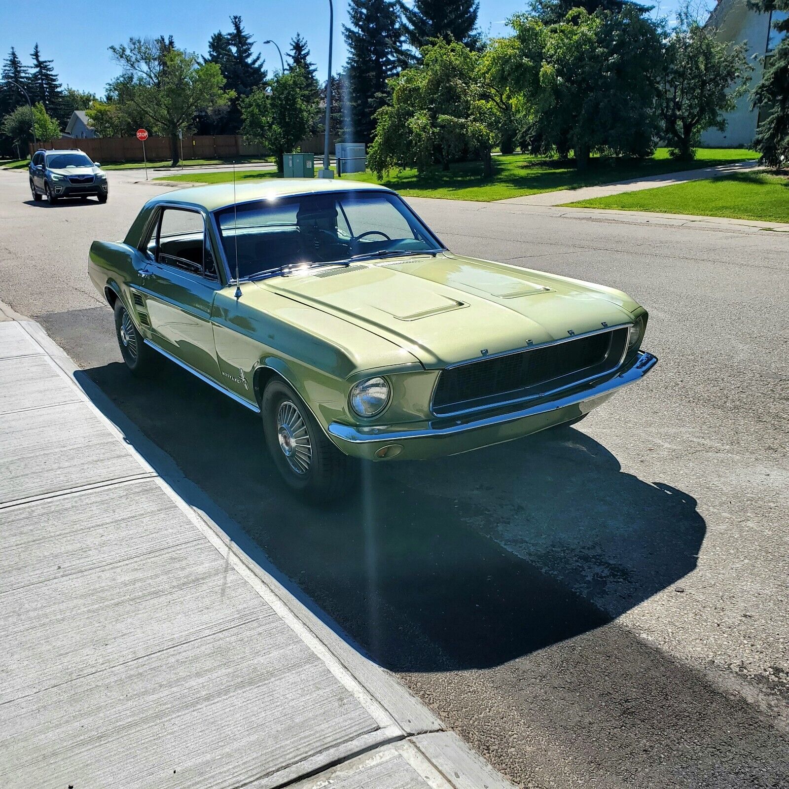 Ford Mustang 1967 à vendre