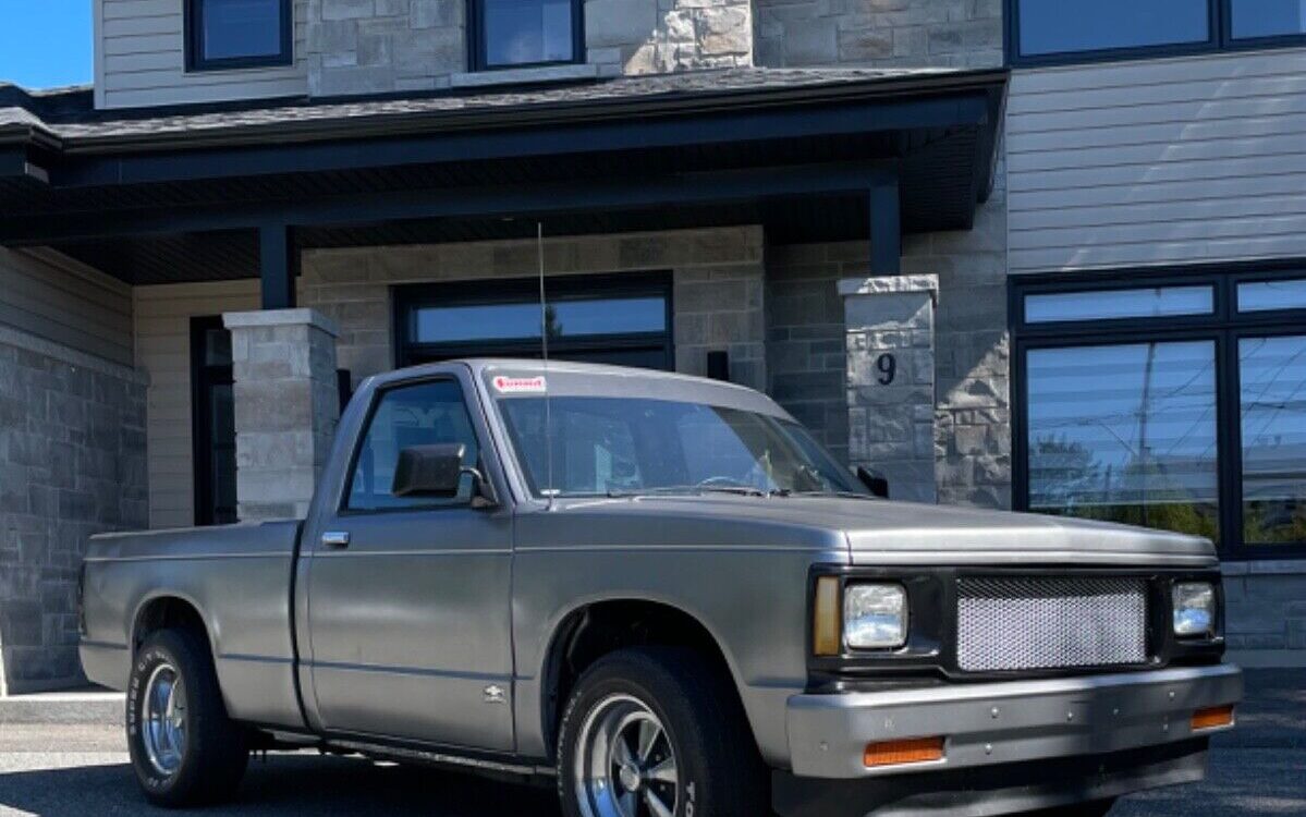 Chevrolet-S-10-1991-1