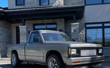 Chevrolet-S-10-1991-1