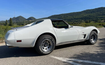 goodtimers-Chevrolet-Corvette-1977-1