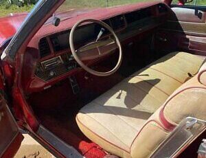 Buick-LeSabre-1975-4