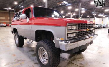 Chevrolet-Blazer-1990-5