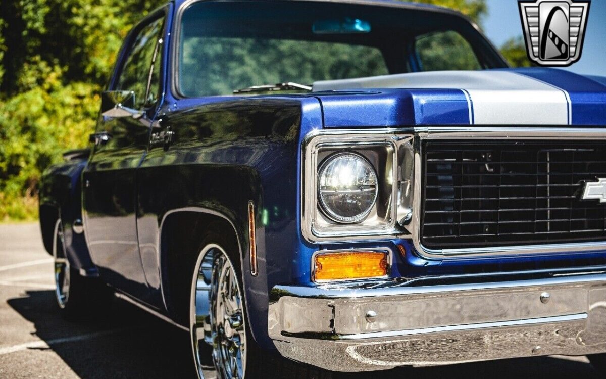 Chevrolet-C-10-1974-11