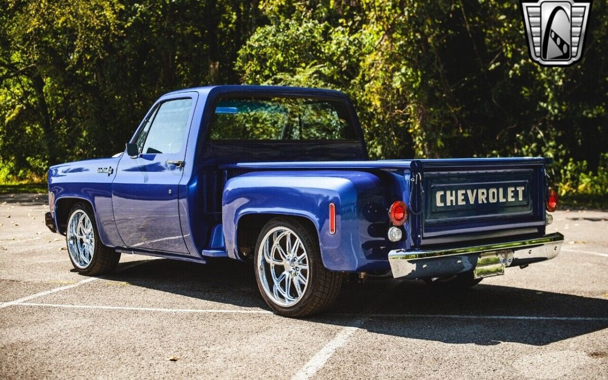 Chevrolet-C-10-1974-4