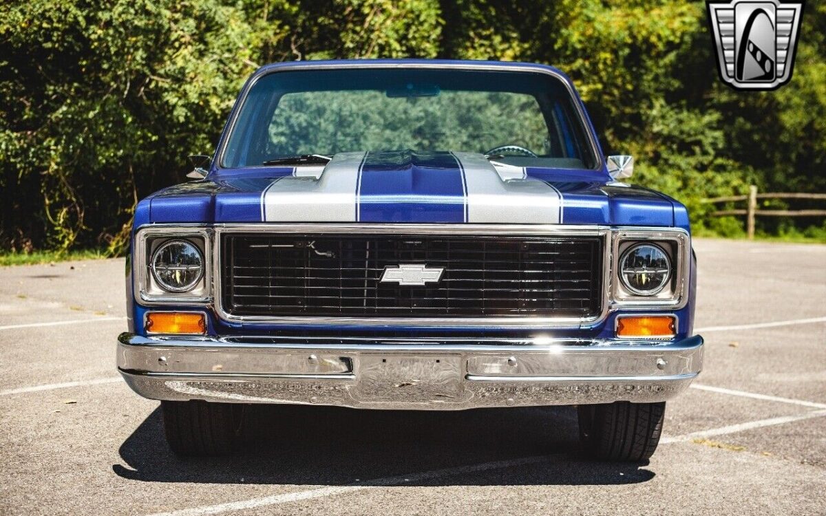Chevrolet-C-10-1974-9