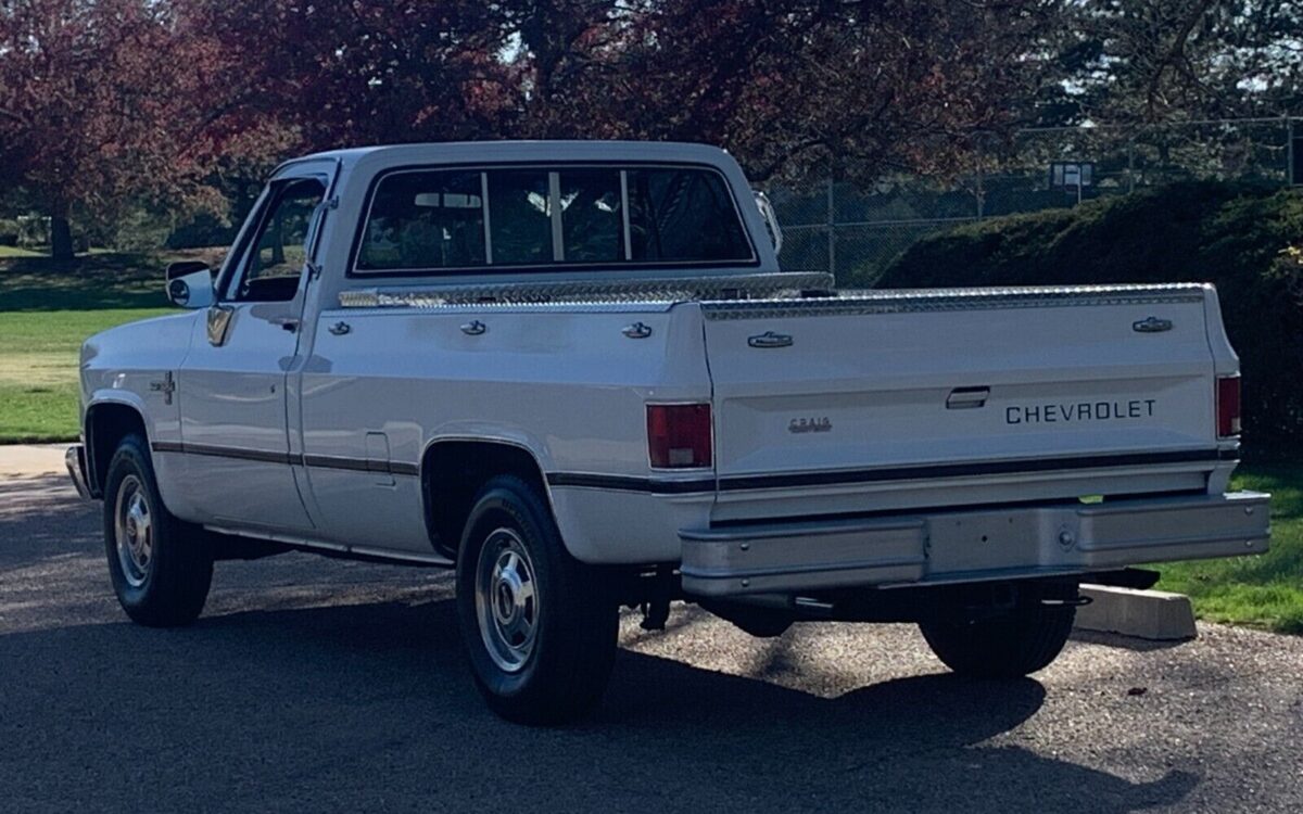 Chevrolet-C-10-1985-18