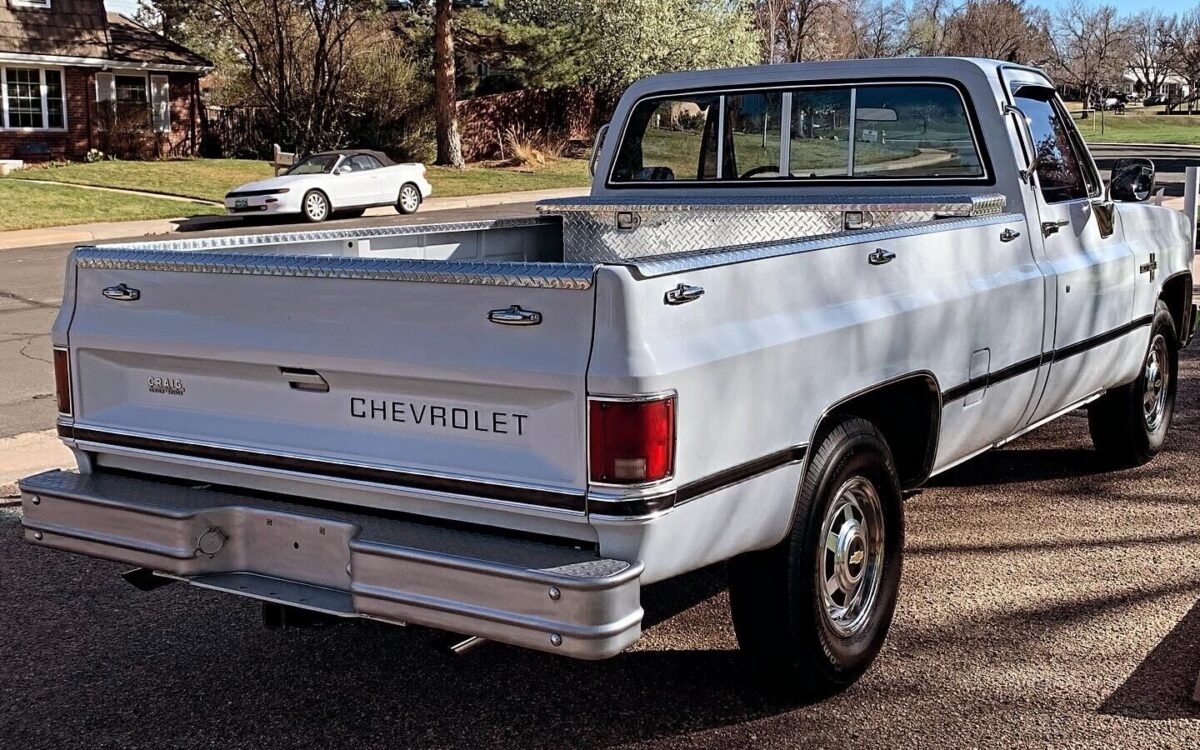 Chevrolet-C-10-1985-5