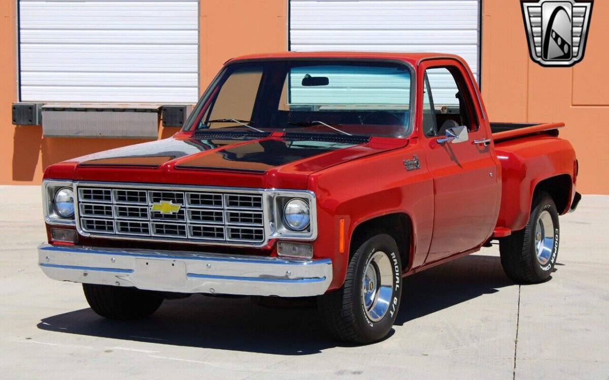 Chevrolet-C-10-Pickup-1977-5