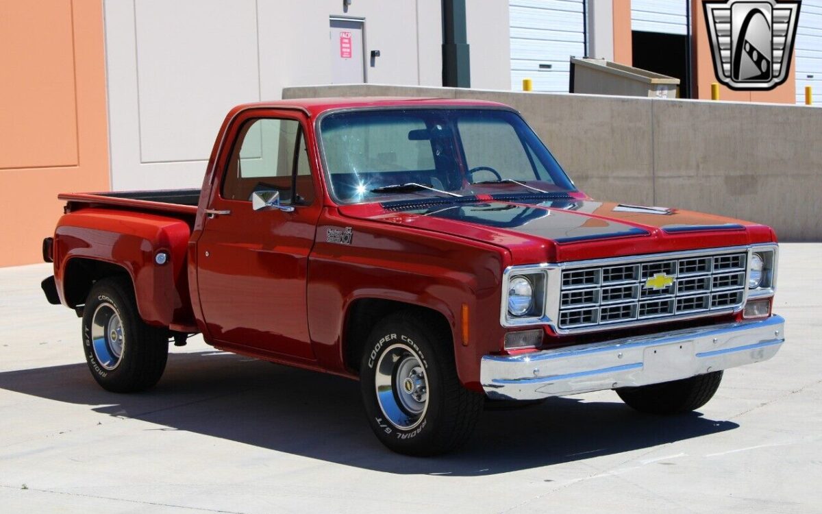 Chevrolet-C-10-Pickup-1977-6