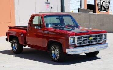 Chevrolet-C-10-Pickup-1977-6