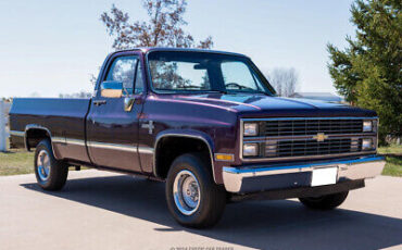 Chevrolet-C-10-Pickup-1984-11