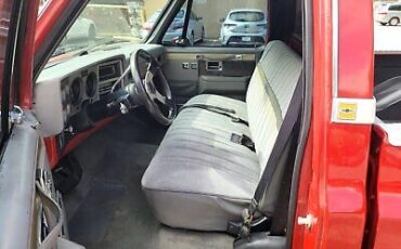 Chevrolet-C-10-Pickup-1987-10