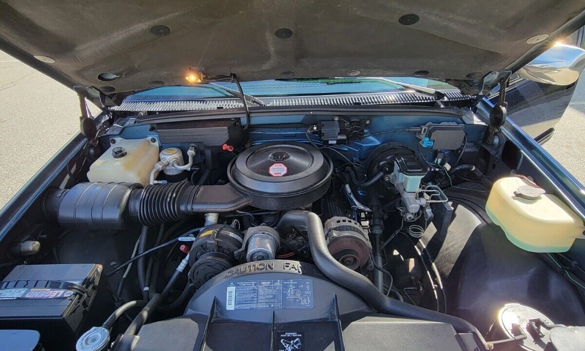Chevrolet-CK-Pickup-1500-1990-11