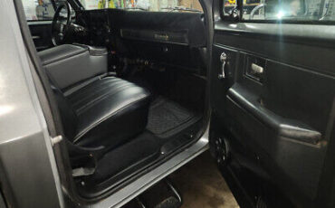 Chevrolet-CK-Pickup-2500-1973-9