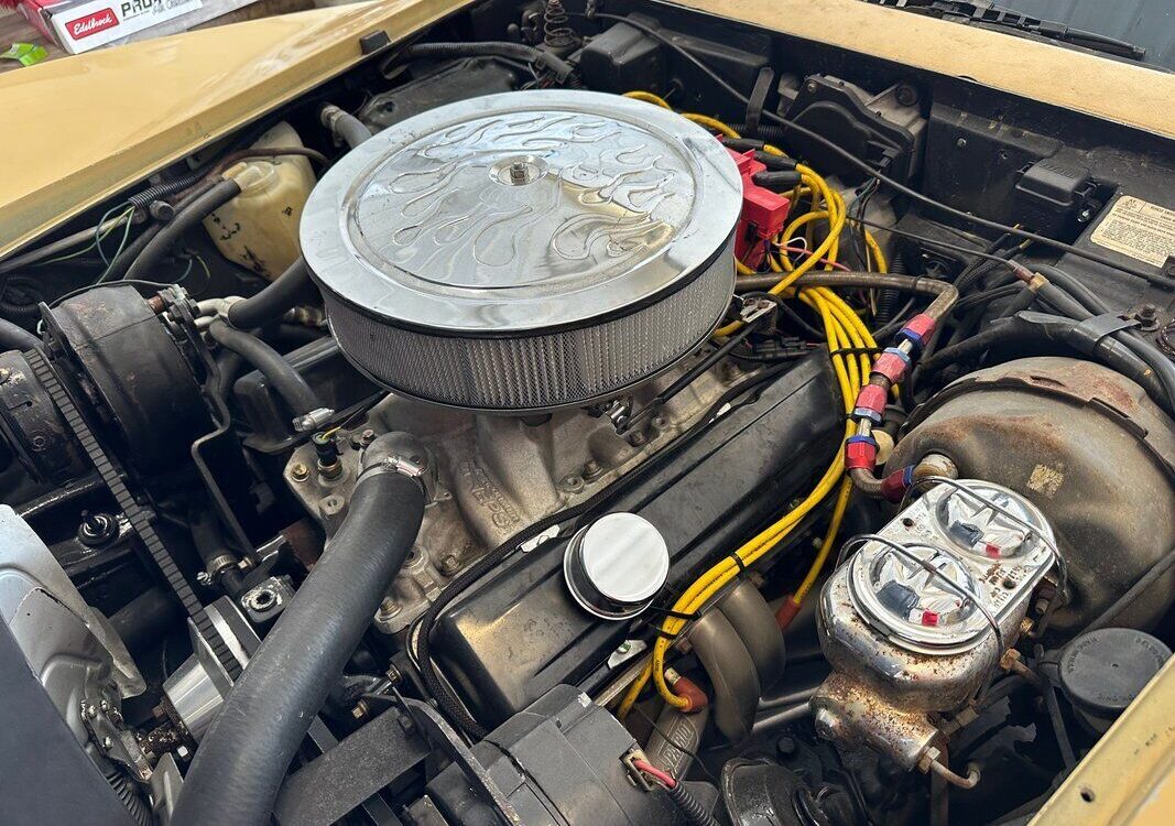 Chevrolet-Corvette-1977-1
