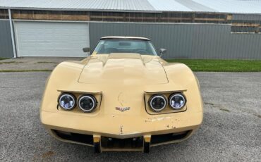 Chevrolet-Corvette-1977-6