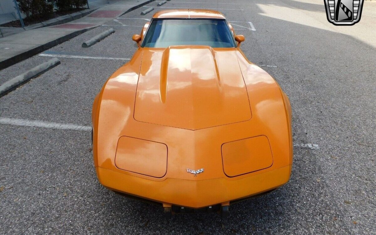 Chevrolet-Corvette-1977-7
