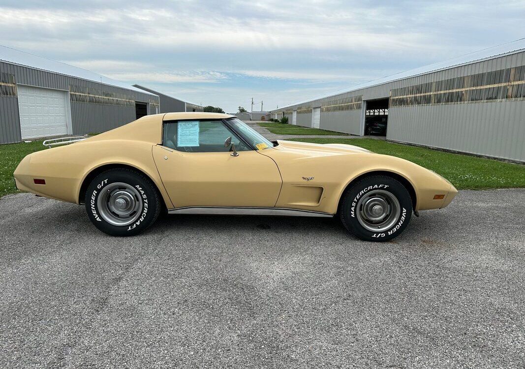 Chevrolet-Corvette-1977-9