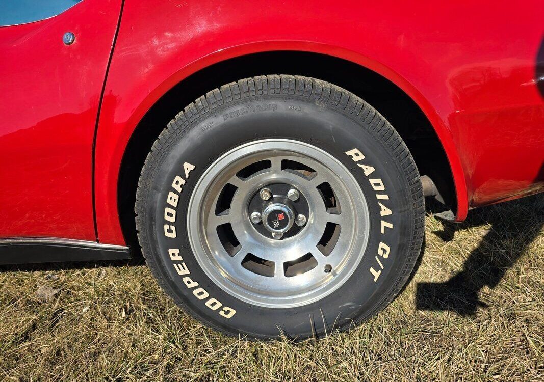Chevrolet-Corvette-1979-35