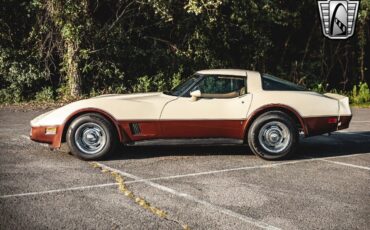 Chevrolet-Corvette-1981-3
