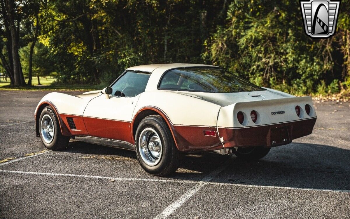 Chevrolet-Corvette-1981-4
