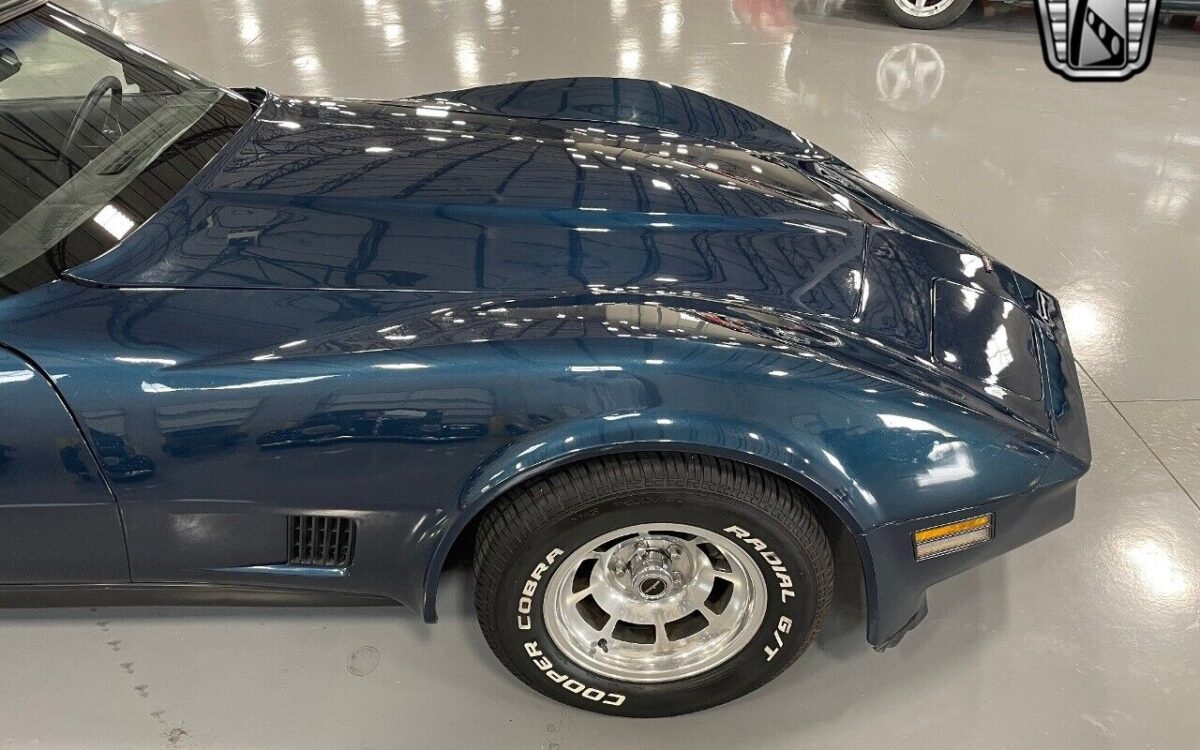 Chevrolet-Corvette-1981-7