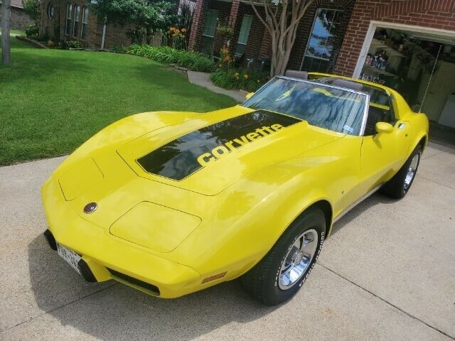 Chevrolet-Corvette-Coupe-1976-3