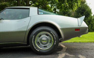 Chevrolet-Corvette-Coupe-1979-4