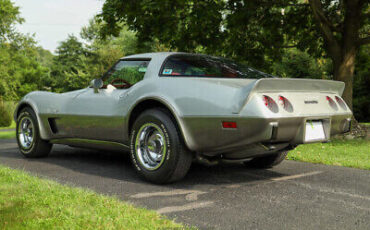Chevrolet-Corvette-Coupe-1979-5