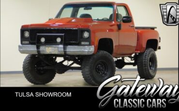 Chevrolet Other Pickups  1979