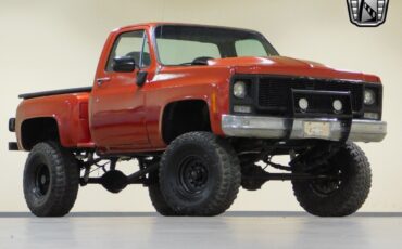 Chevrolet-Other-Pickups-1979-6