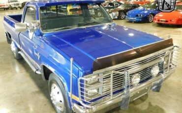 Chevrolet-Other-Pickups-1984-3