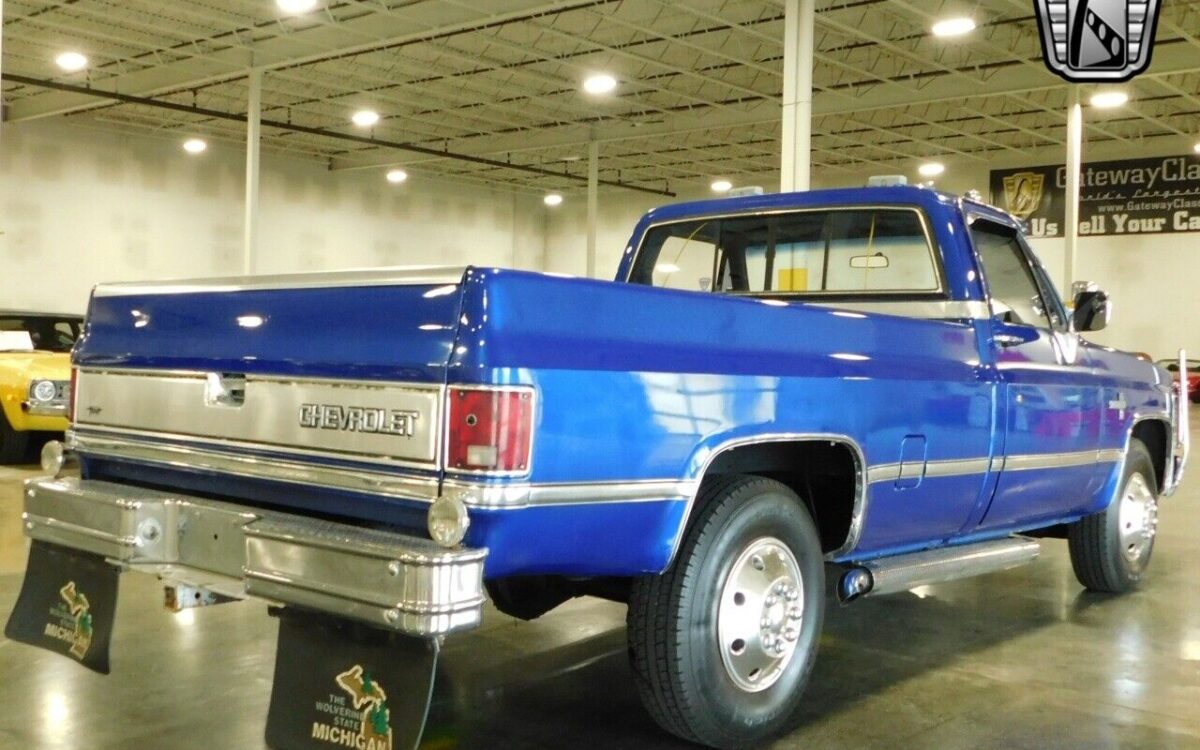 Chevrolet-Other-Pickups-1984-6