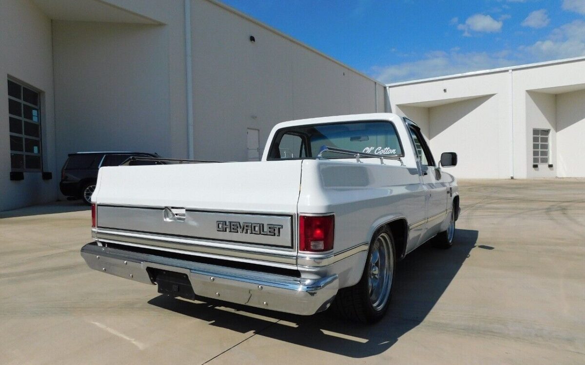 Chevrolet-Other-Pickups-1987-10