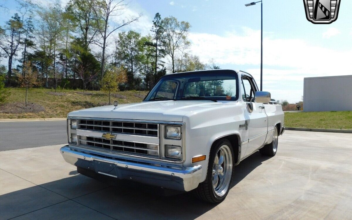 Chevrolet-Other-Pickups-1987-4