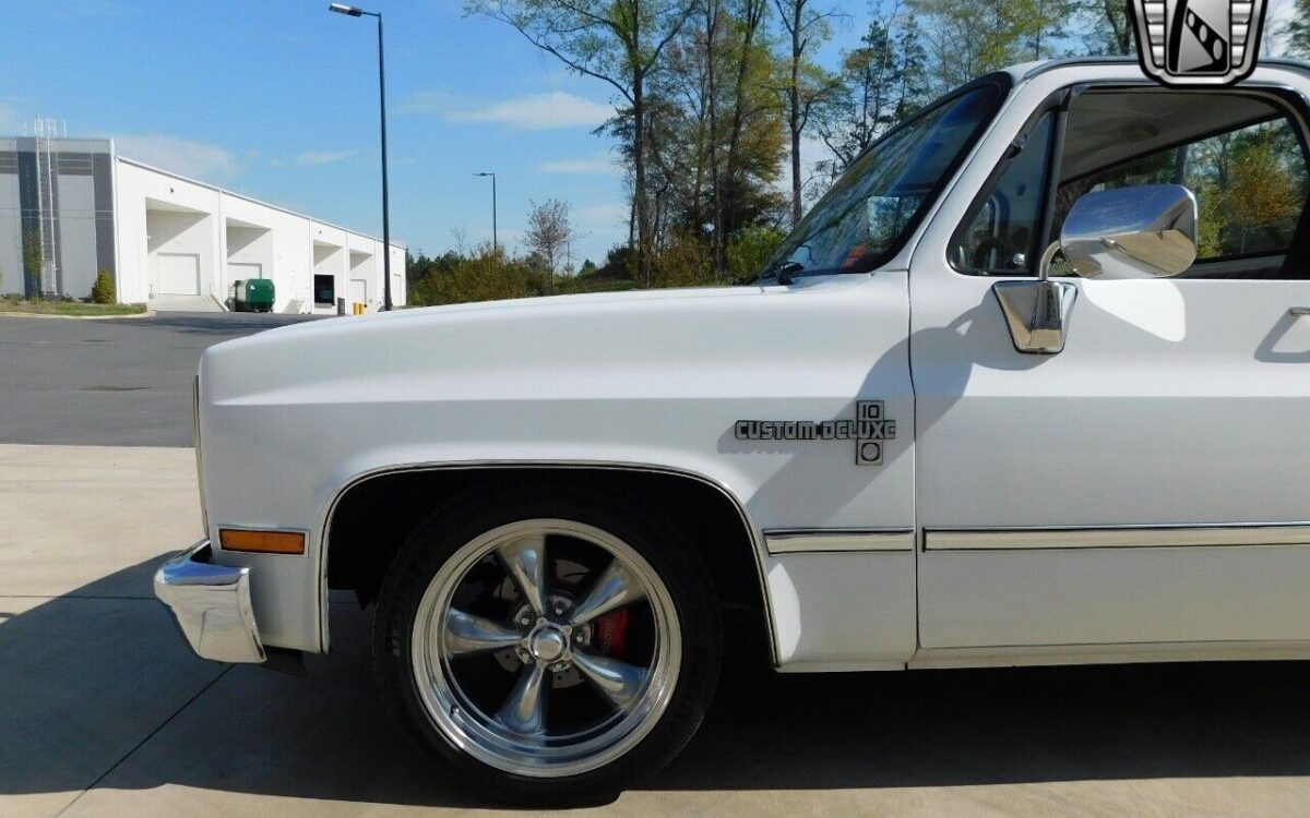 Chevrolet-Other-Pickups-1987-5