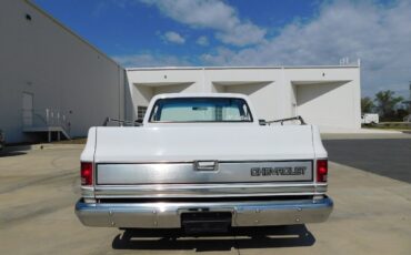 Chevrolet-Other-Pickups-1987-9