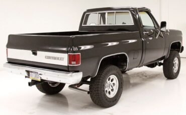 Chevrolet-Other-Pickups-Pickup-1979-3