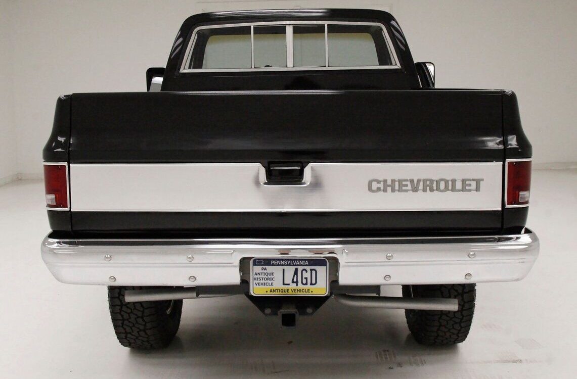 Chevrolet-Other-Pickups-Pickup-1979-4