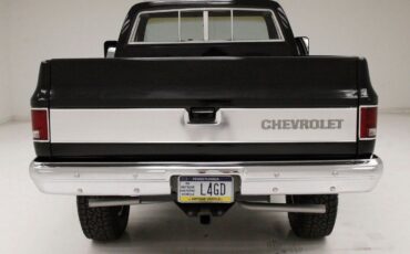 Chevrolet-Other-Pickups-Pickup-1979-4