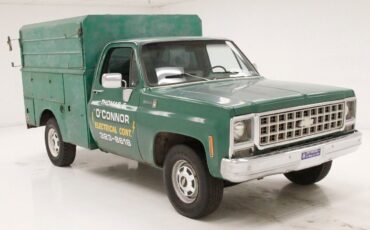Chevrolet-Other-Pickups-Pickup-1980-6