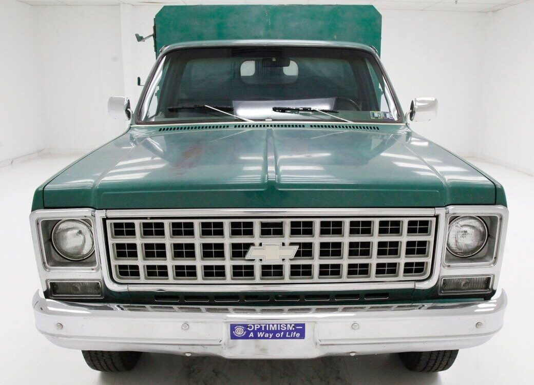 Chevrolet-Other-Pickups-Pickup-1980-7