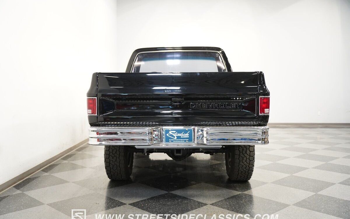 Chevrolet-Other-Pickups-Pickup-1981-8
