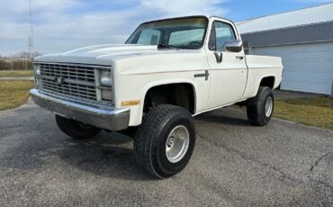 Chevrolet-Other-Pickups-Pickup-1983-1
