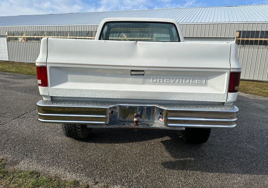 Chevrolet-Other-Pickups-Pickup-1983-10