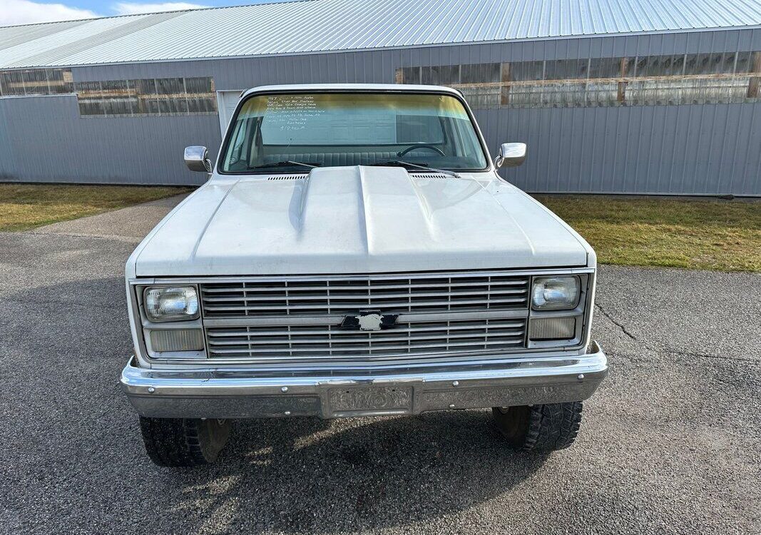Chevrolet-Other-Pickups-Pickup-1983-4